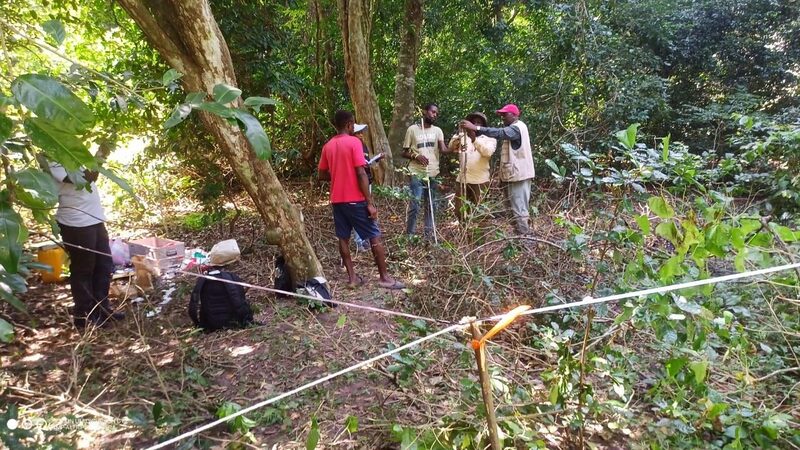 Bio-Bridge field team establishing plots in coastal forest